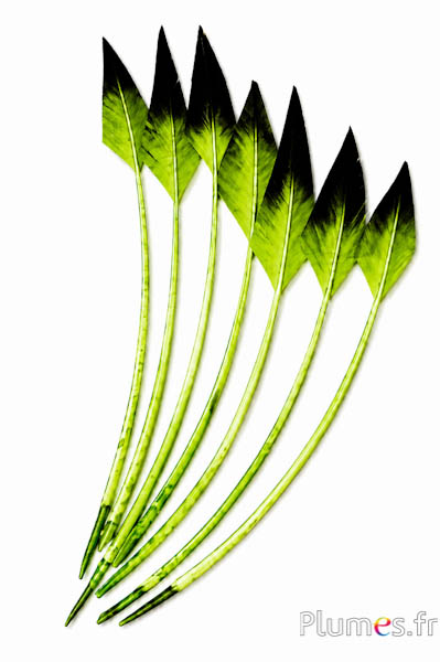 Schwan Pfeilform - 28-33 cm - limette-schwarz